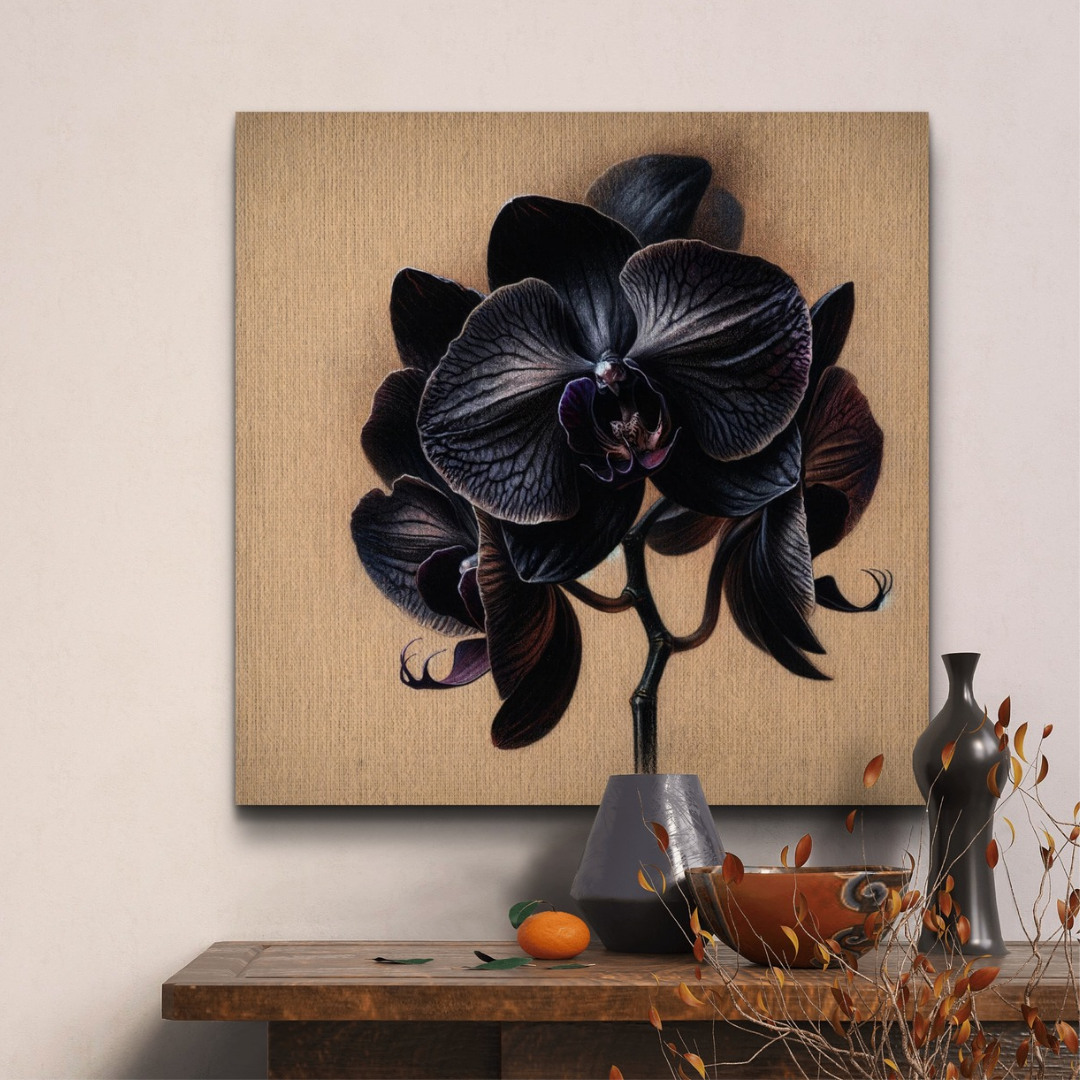 Black Orchid - OutOfNowhereArt