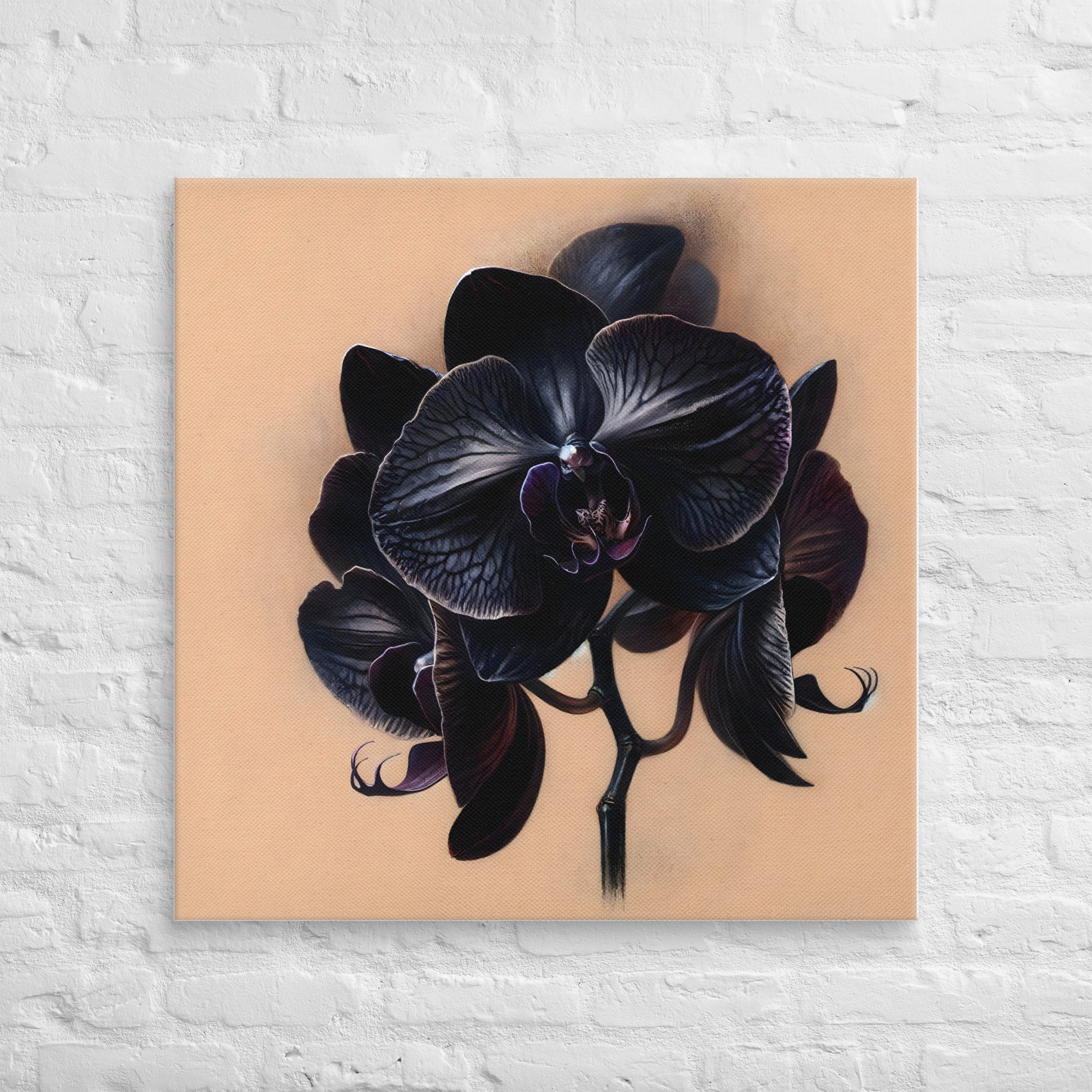Black Orchid - OutOfNowhereArt