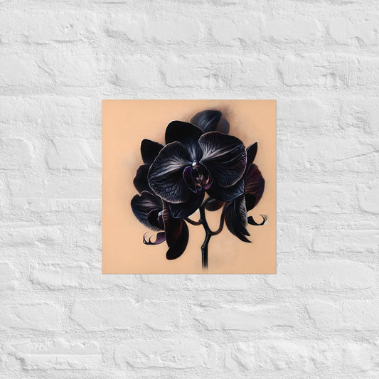 Black Orchid Poster - OutOfNowhereArt