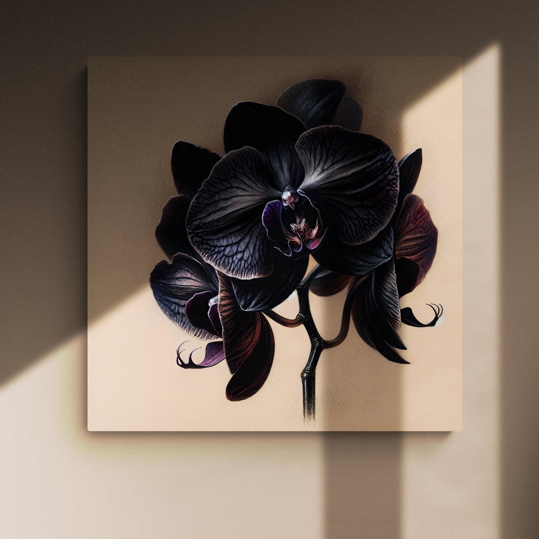 Black Orchid Poster - OutOfNowhereArt